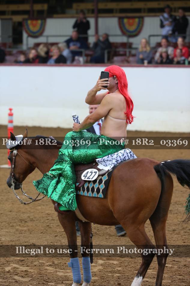 Proof 18R2_03369