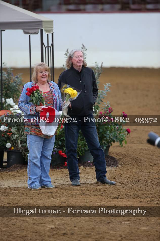 Proof 18R2_03372