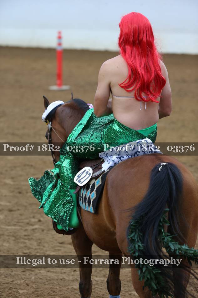 Proof 18R2_03376