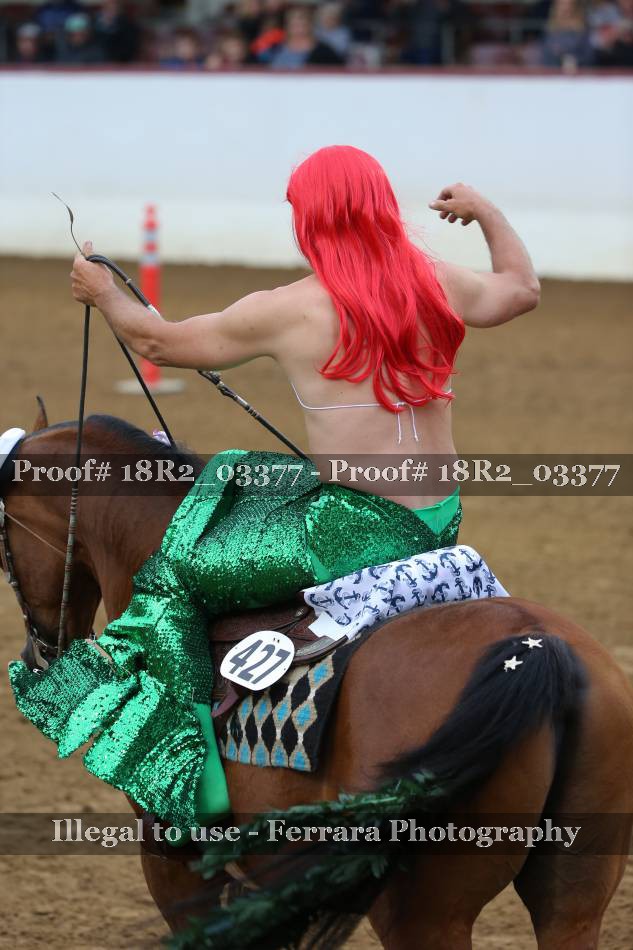 Proof 18R2_03377