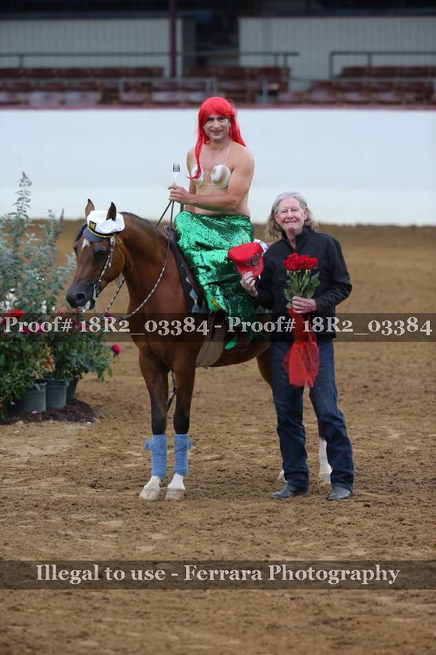 Proof 18R2_03384