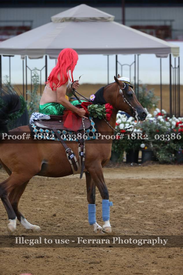 Proof 18R2_03386