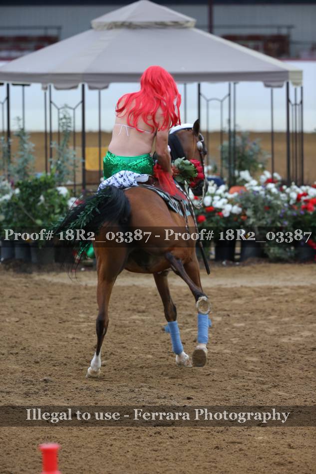Proof 18R2_03387