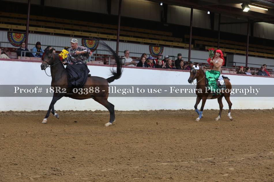 Proof 18R2_03388