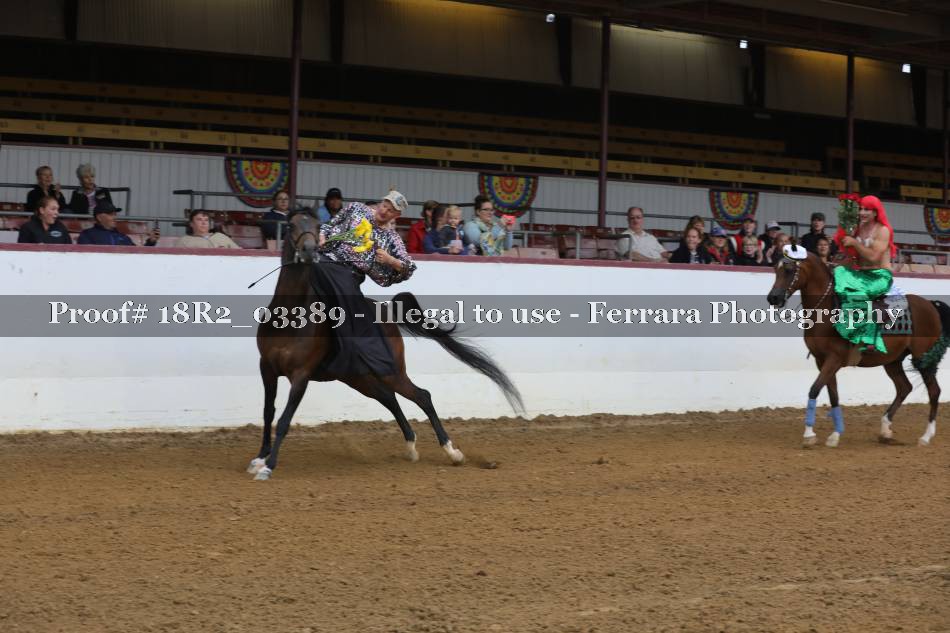 Proof 18R2_03389
