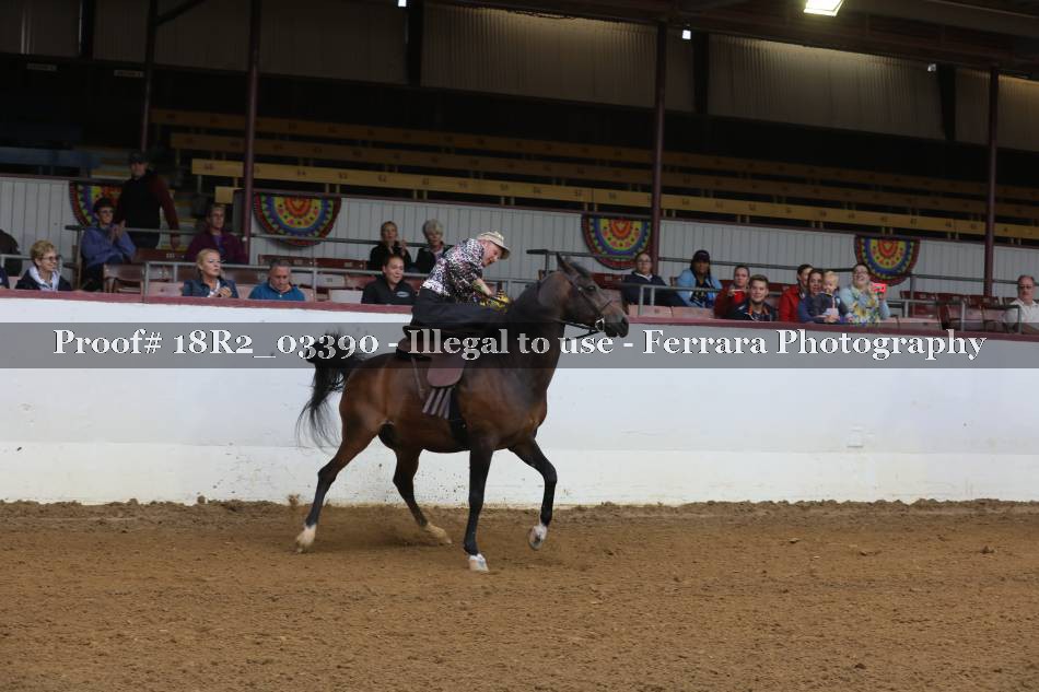 Proof 18R2_03390