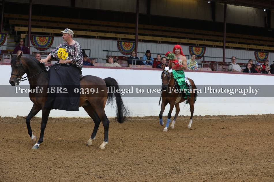 Proof 18R2_03391