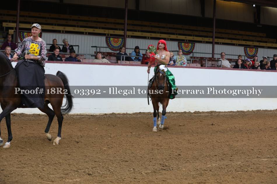 Proof 18R2_03392