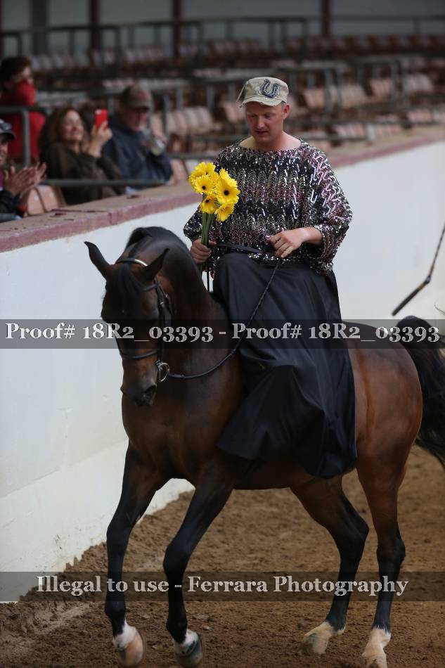 Proof 18R2_03393