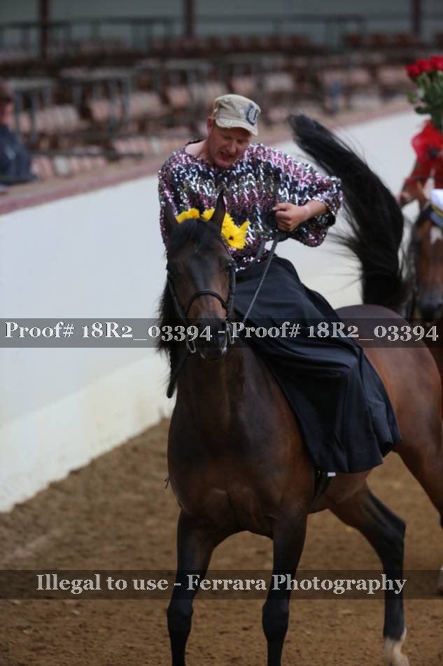 Proof 18R2_03394