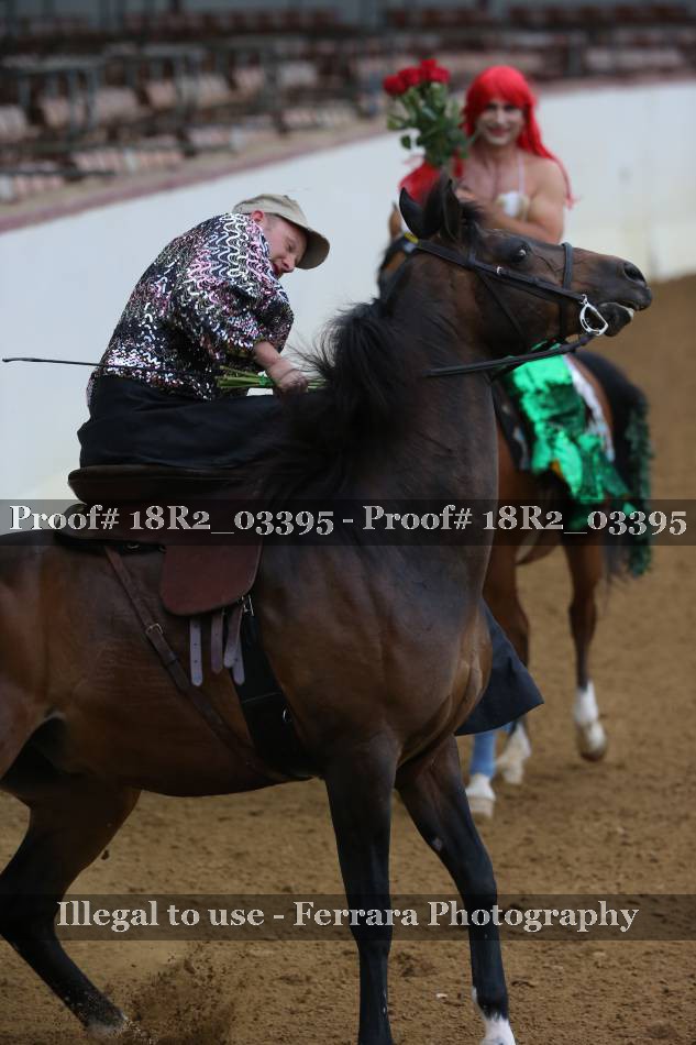 Proof 18R2_03395