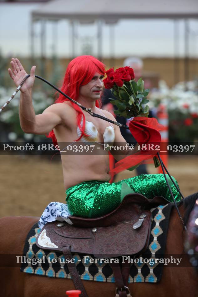 Proof 18R2_03397