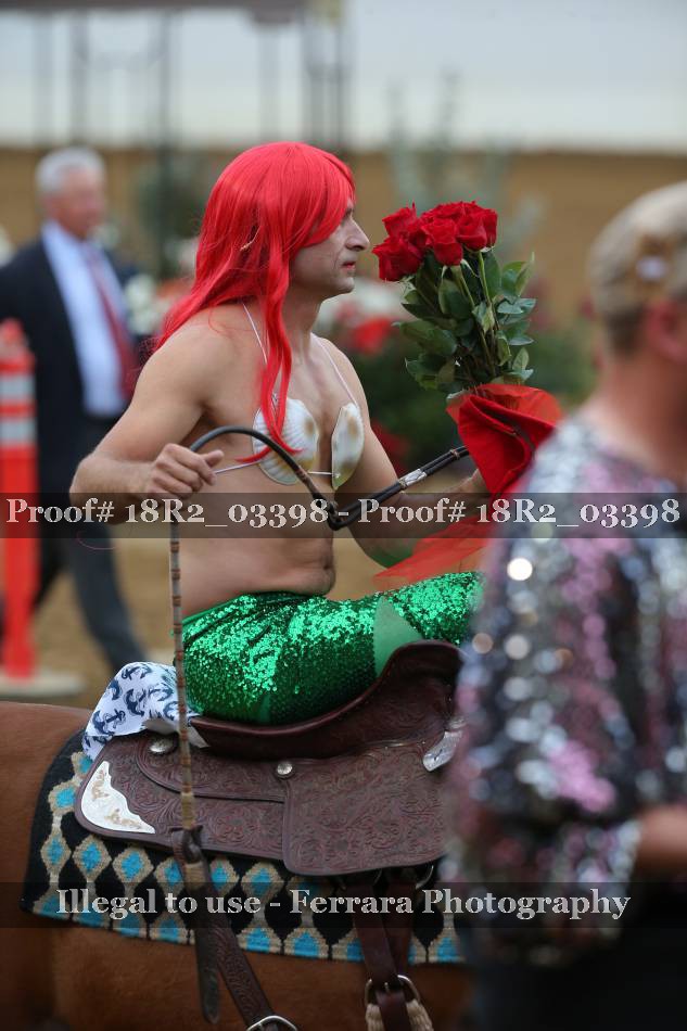 Proof 18R2_03398