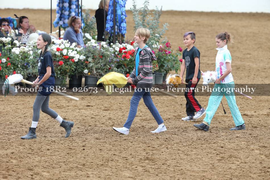 Proof 18R2_02673