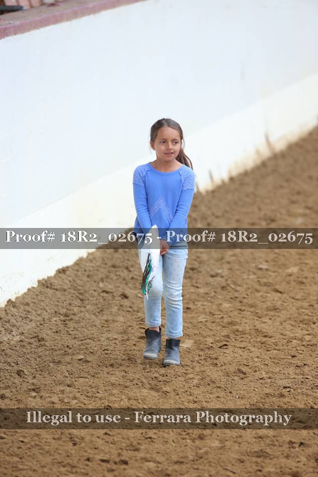 Proof 18R2_02675