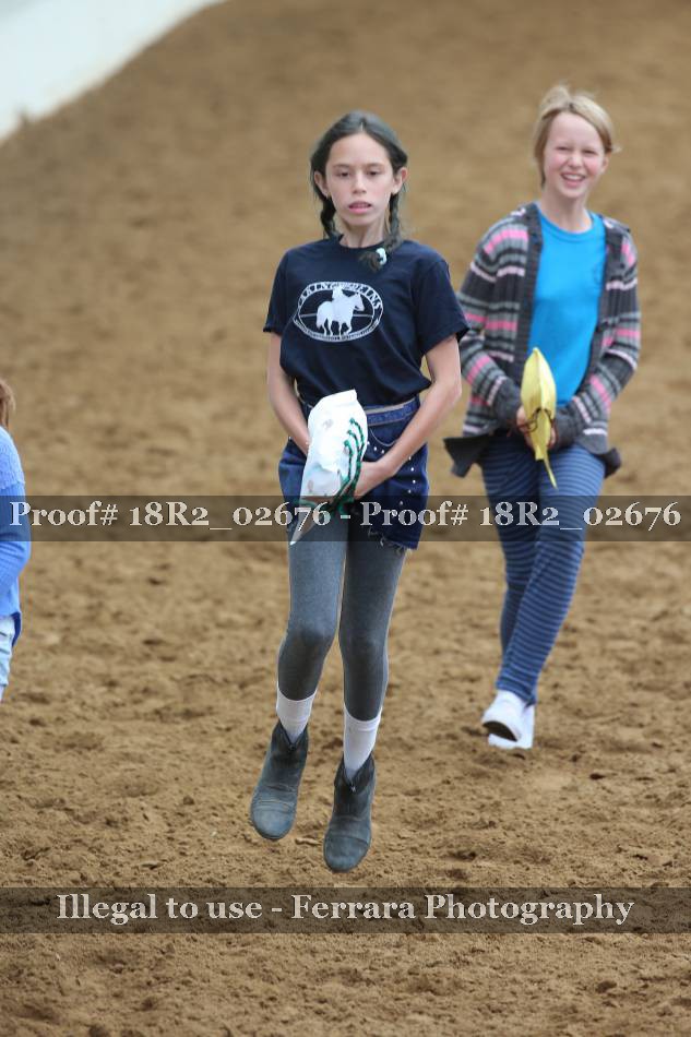 Proof 18R2_02676