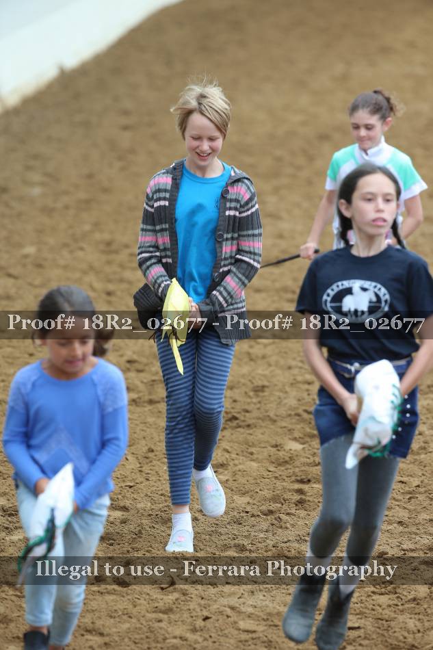 Proof 18R2_02677