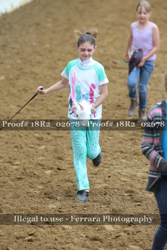 Proof 18R2_02678
