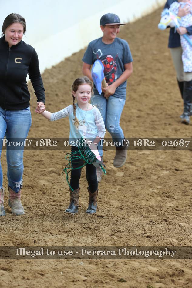 Proof 18R2_02687
