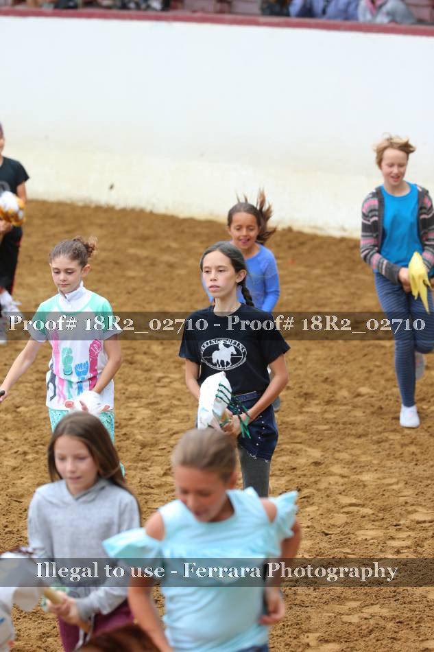 Proof 18R2_02710