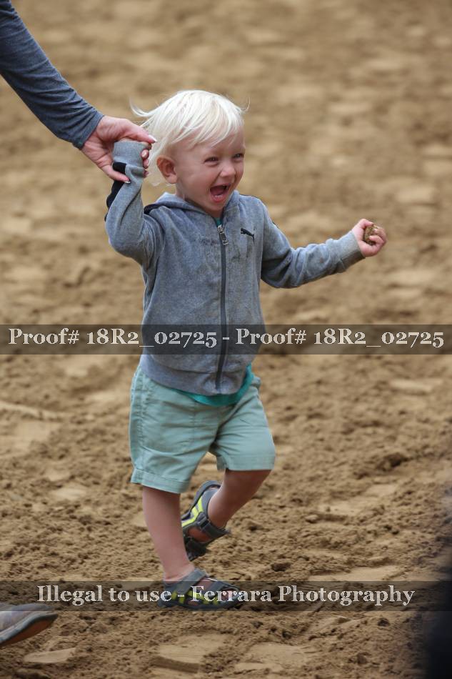 Proof 18R2_02725