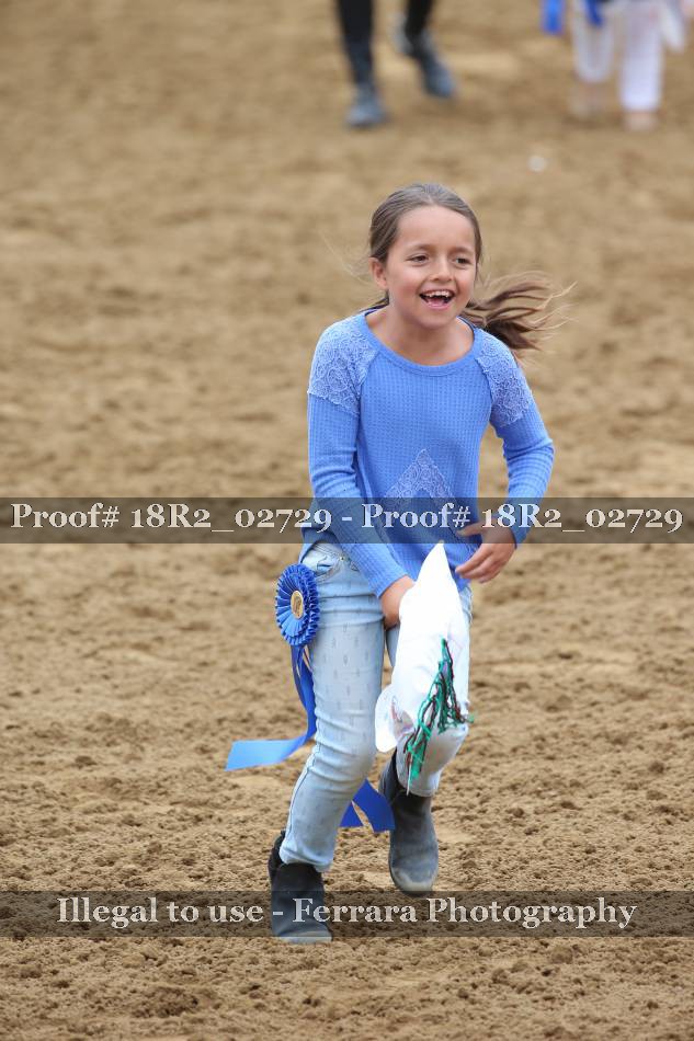Proof 18R2_02729