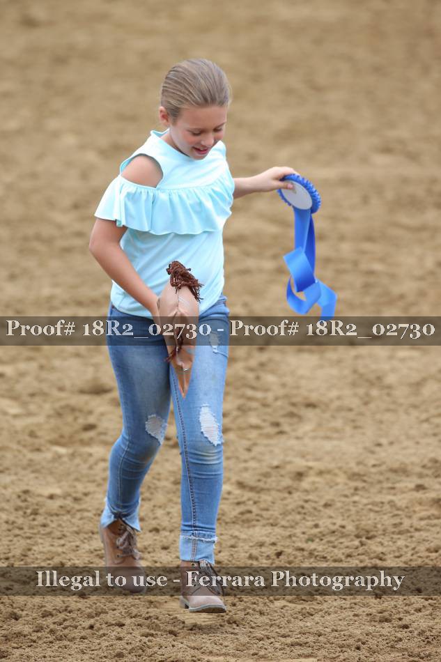 Proof 18R2_02730