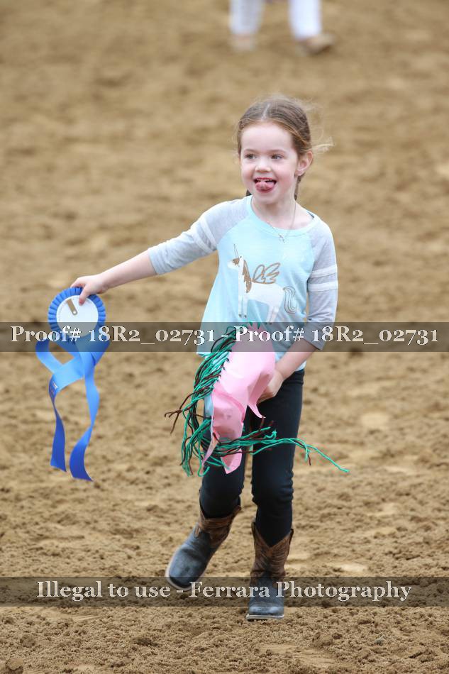 Proof 18R2_02731