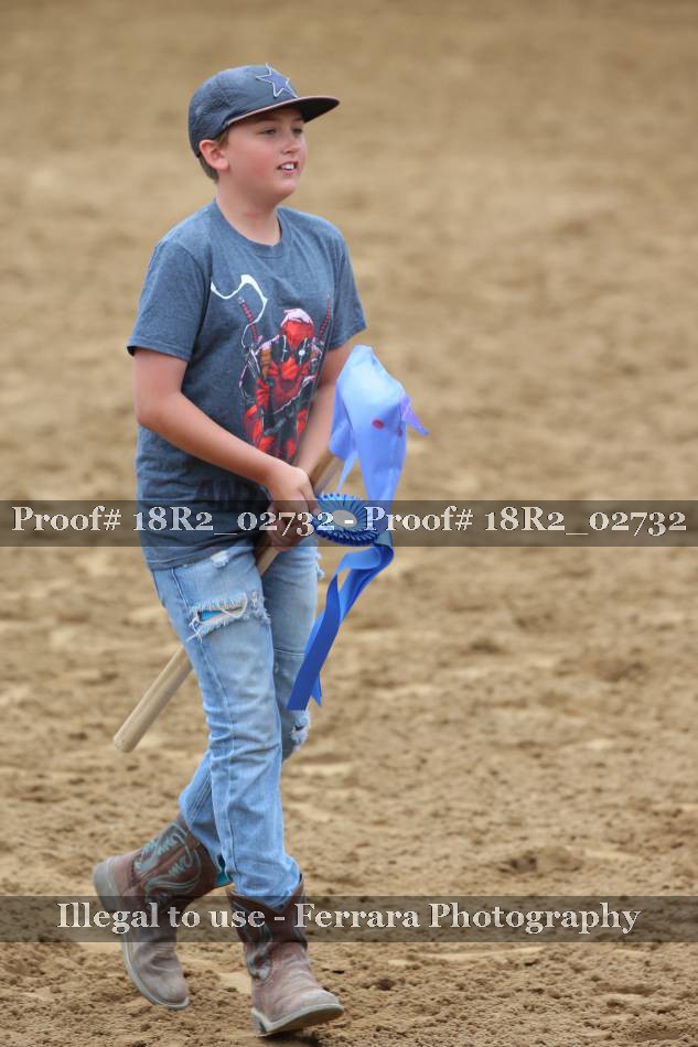 Proof 18R2_02732