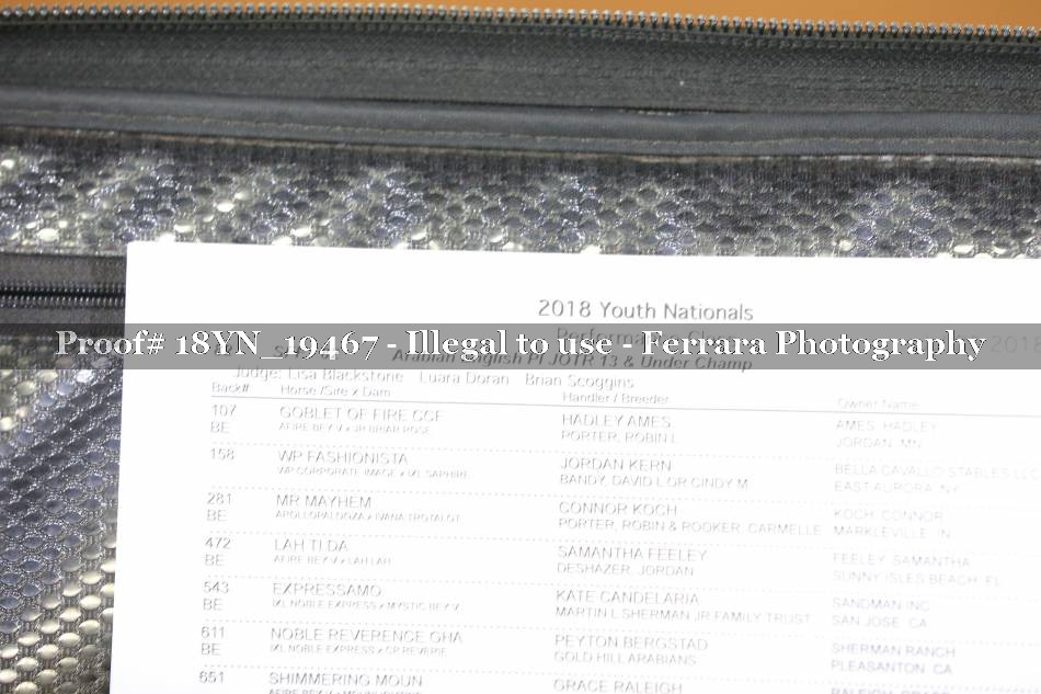 Proof 18YN_19467