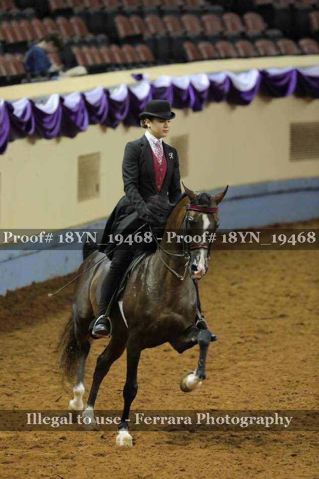 Proof 18YN_19468