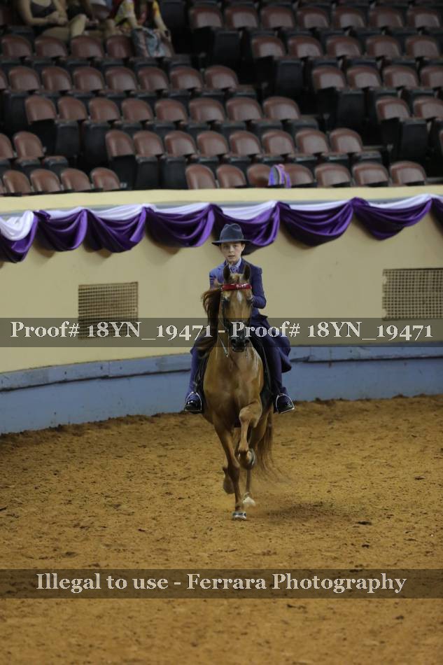 Proof 18YN_19471