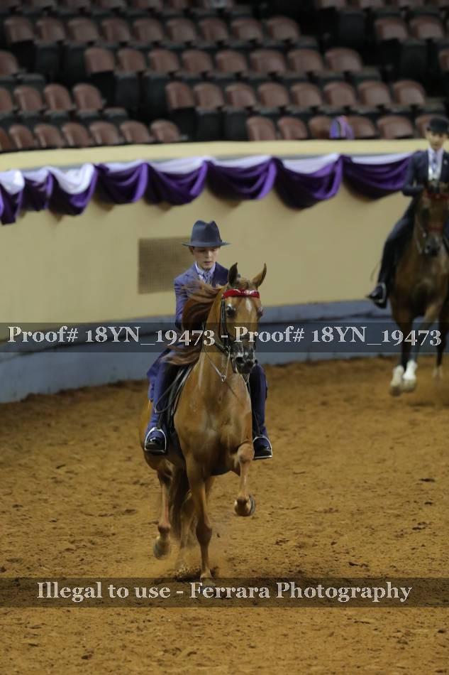 Proof 18YN_19473