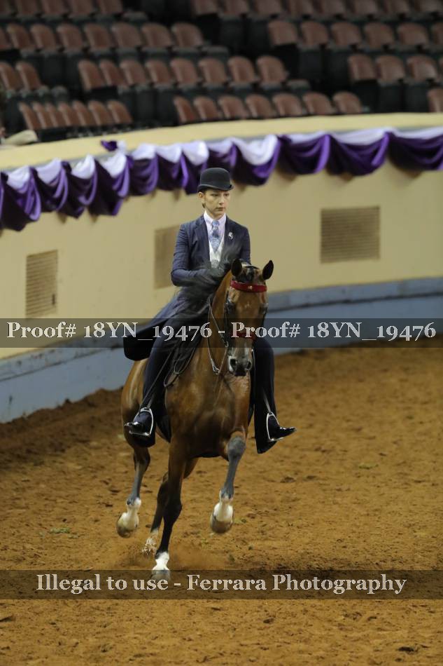 Proof 18YN_19476