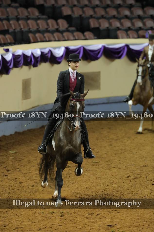 Proof 18YN_19480