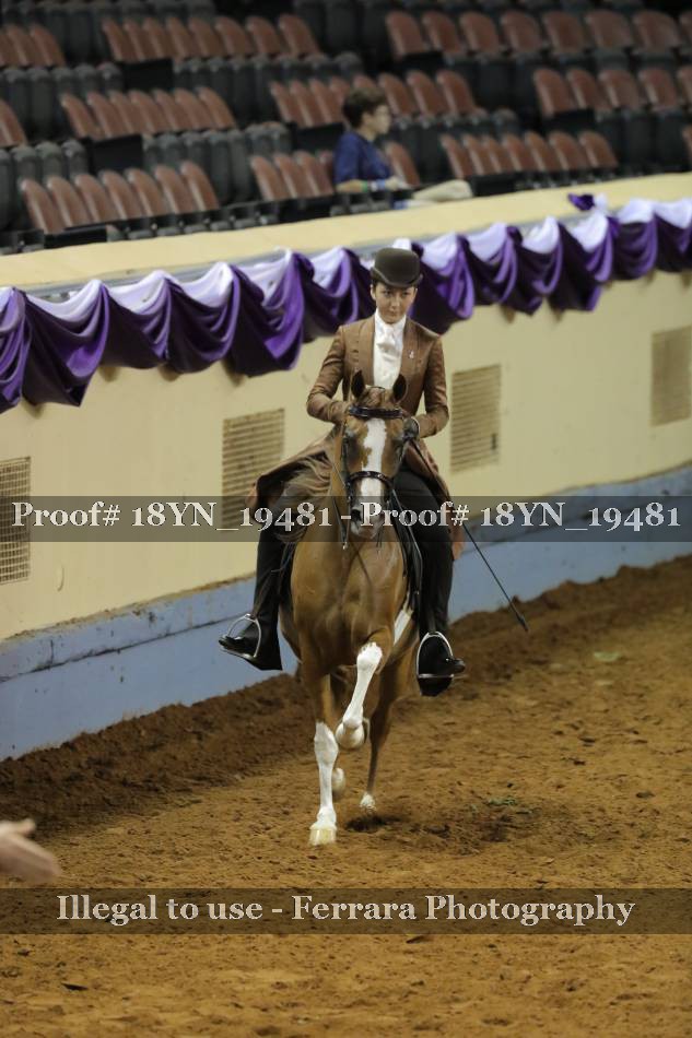 Proof 18YN_19481