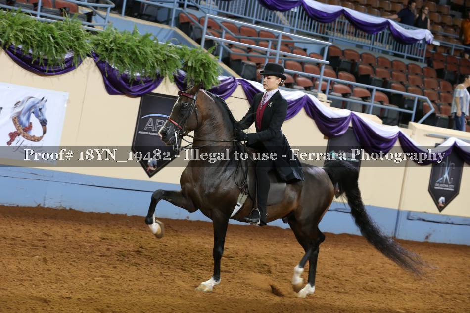 Proof 18YN_19482