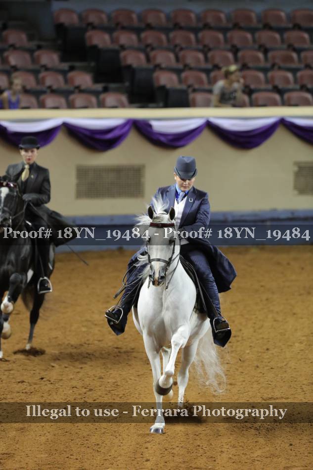 Proof 18YN_19484