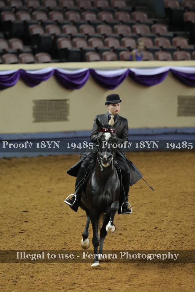 Proof 18YN_19485