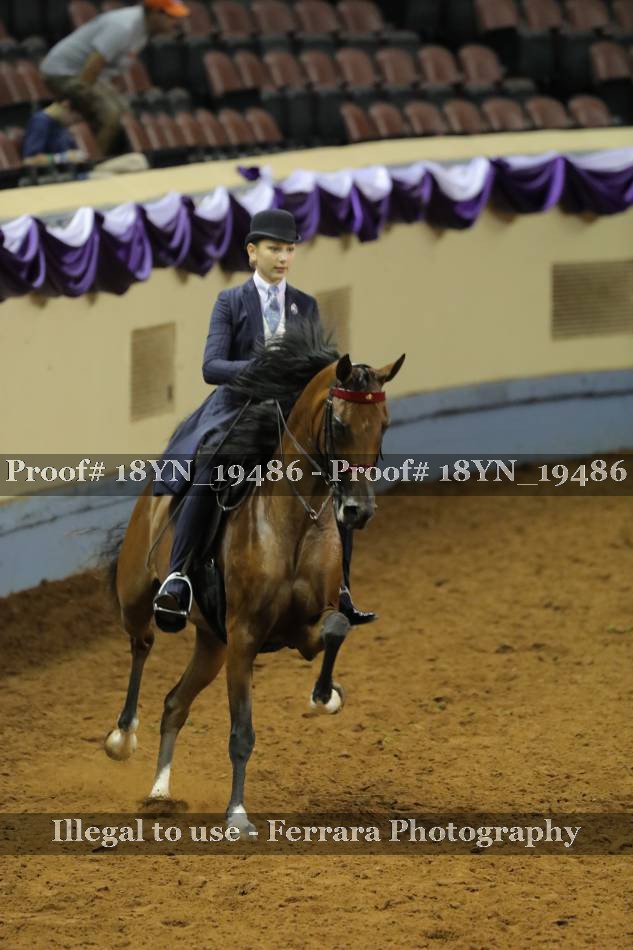Proof 18YN_19486