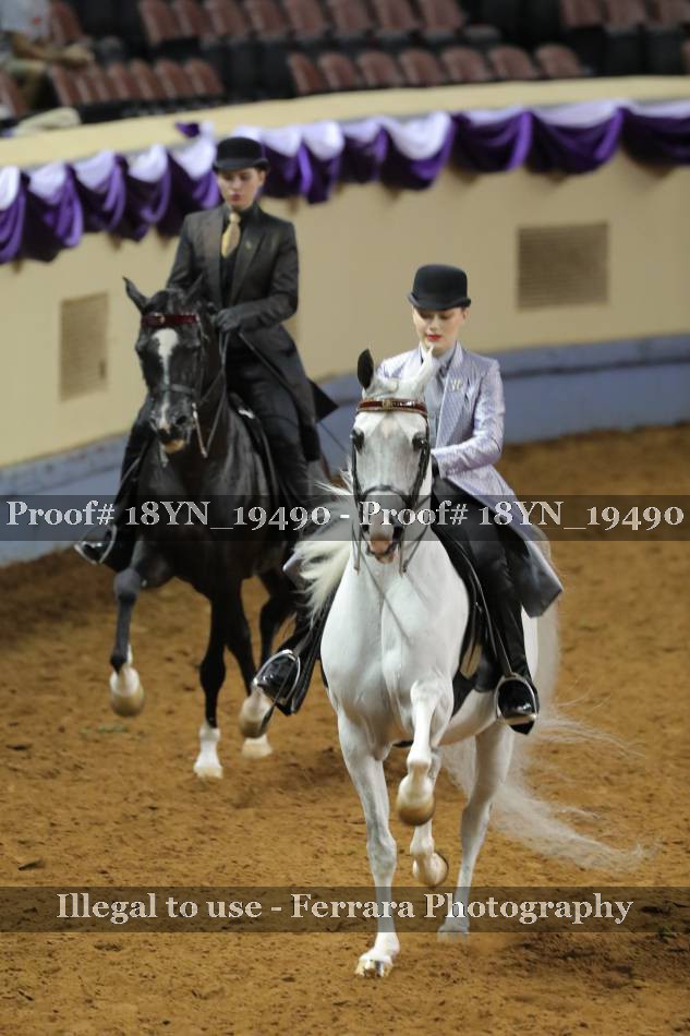 Proof 18YN_19490