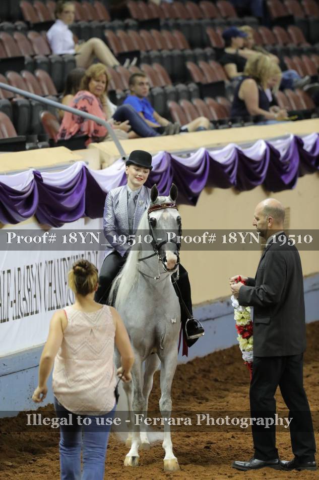 Proof 18YN_19510