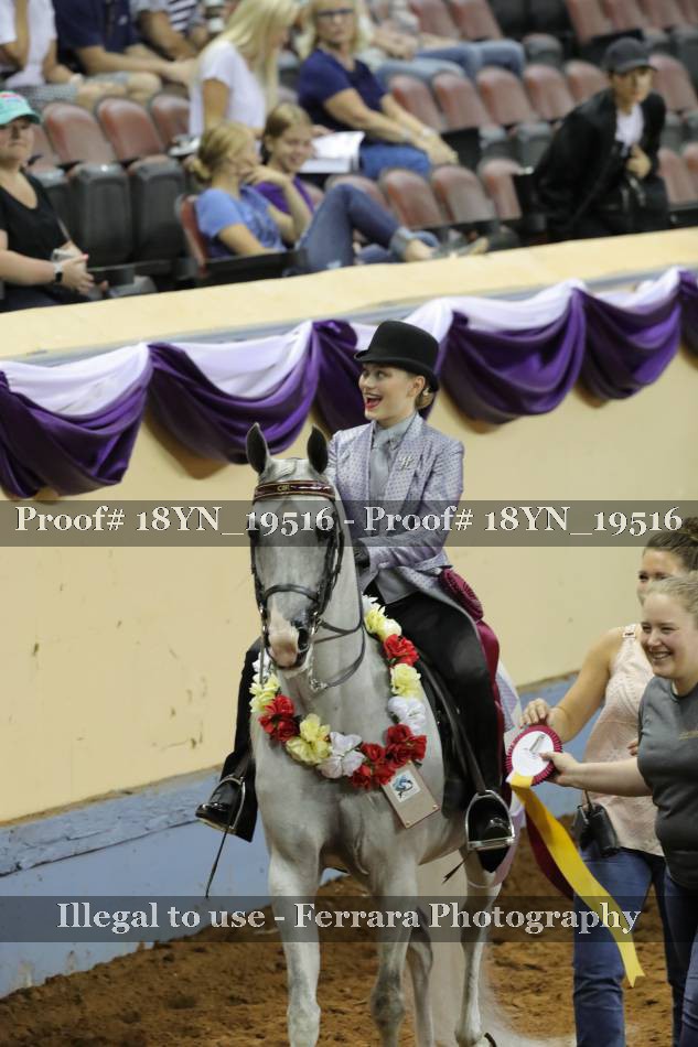 Proof 18YN_19516