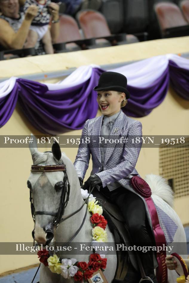 Proof 18YN_19518