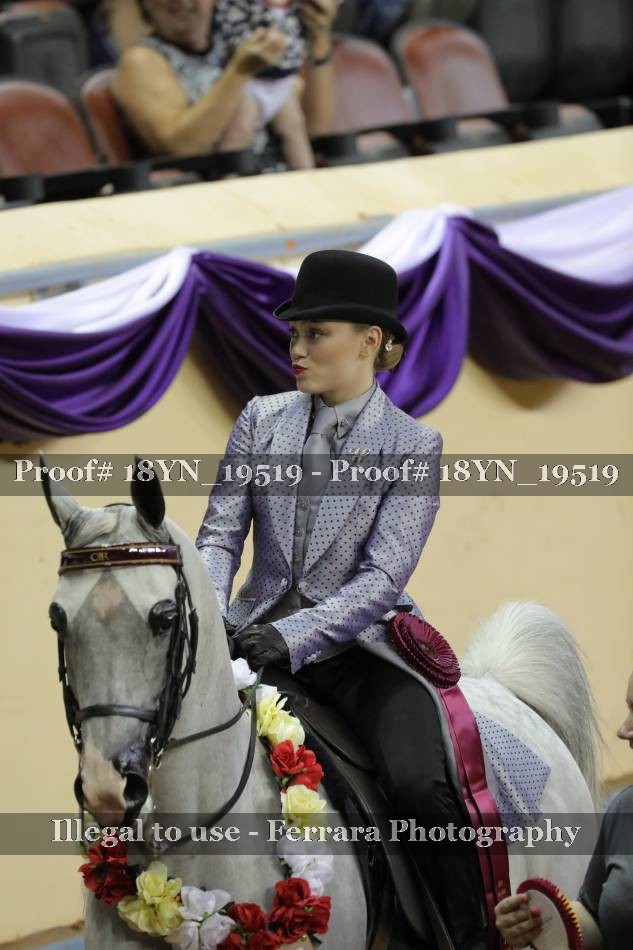 Proof 18YN_19519