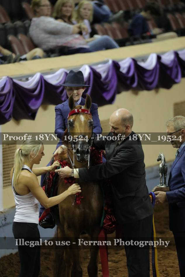 Proof 18YN_19524