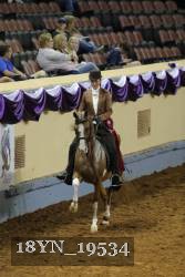 18YN_19534 proof