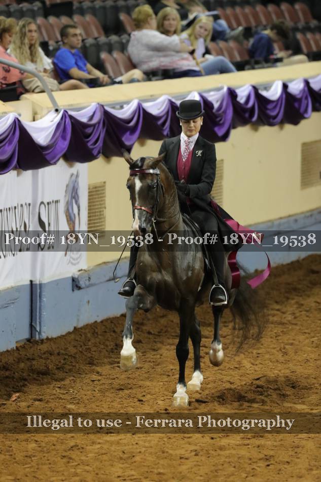 Proof 18YN_19538