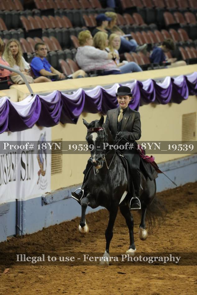 Proof 18YN_19539