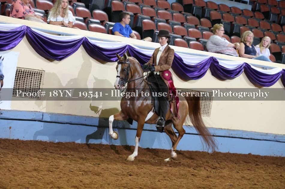 Proof 18YN_19541